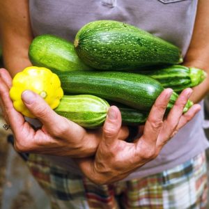 Agence sept24 | Communications marketing - img potager