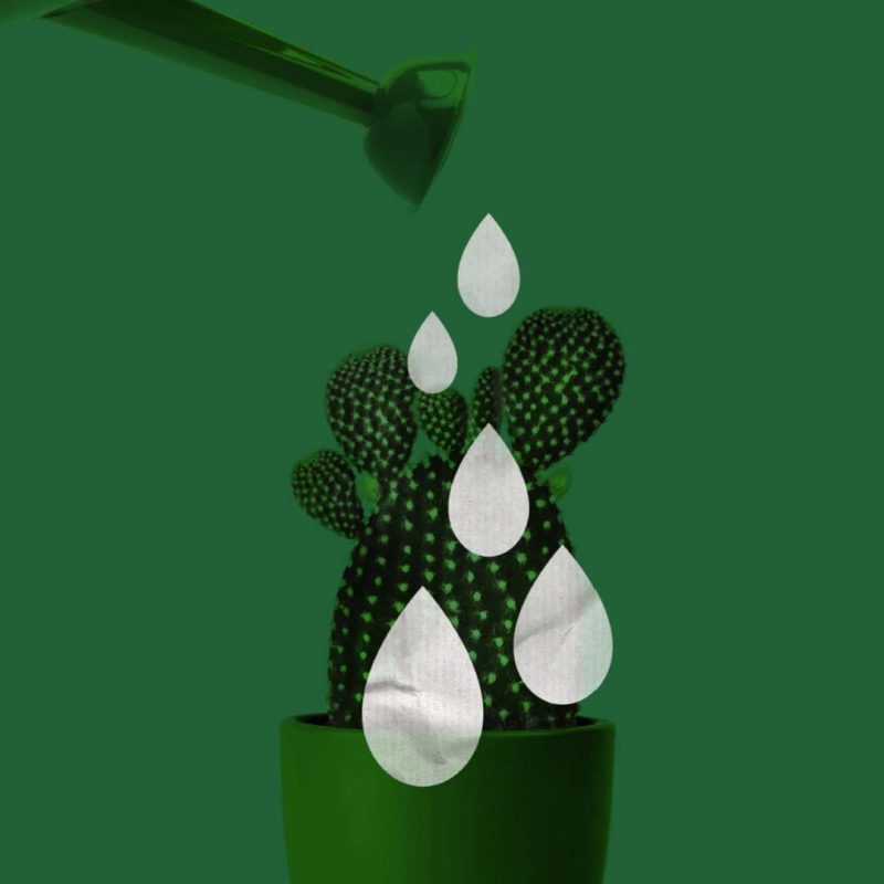 Agence sept24 | Communications marketing - S24 Realisations SQDC vedette 1