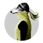 Communication marketing - sept24