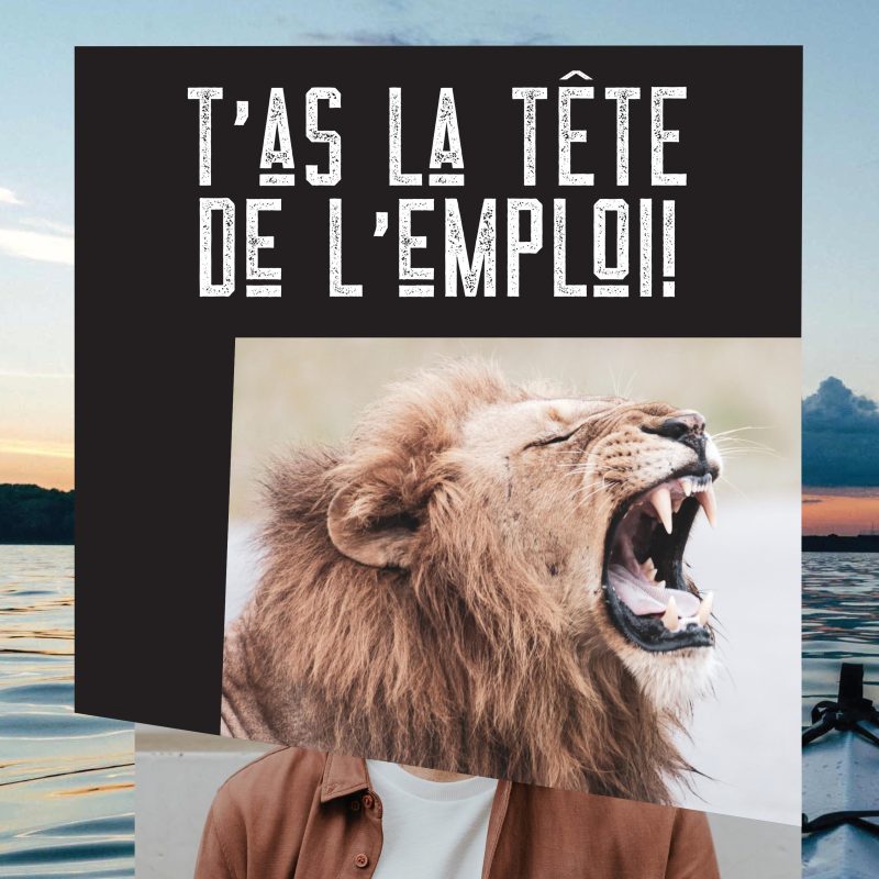 Agence sept24 | Communications marketing - Th campagne recrutement Pellican