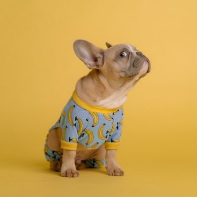 Agence sept24 | Communications marketing - 1698238888625