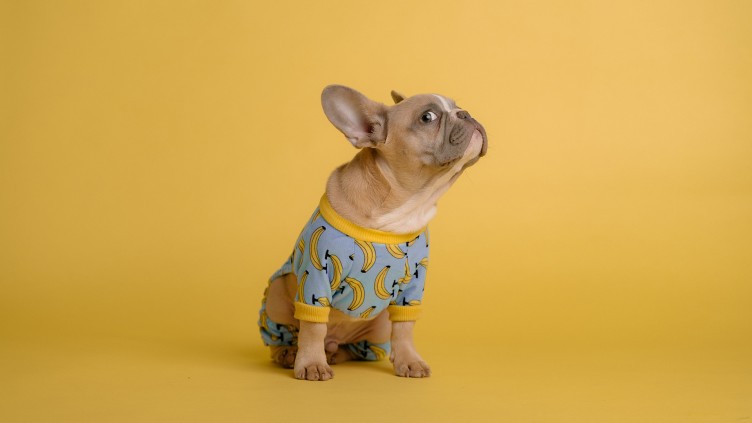 Agence sept24 | Communications marketing - 1698238888625