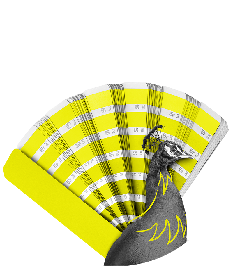 L'expérience utilisateur au cœur de notre processus