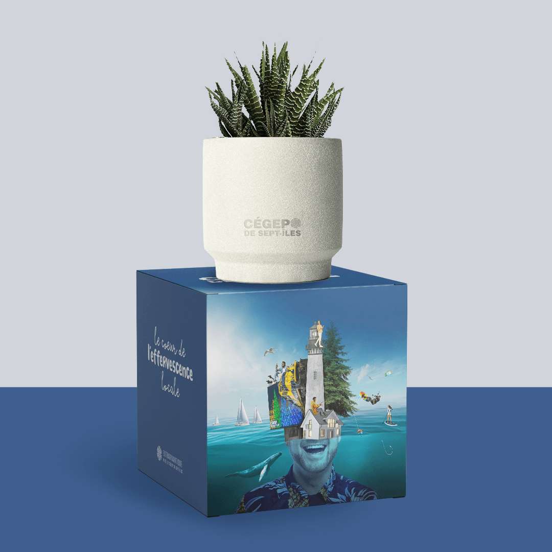 Une marque employeur pour Cégep de Sept-Îles